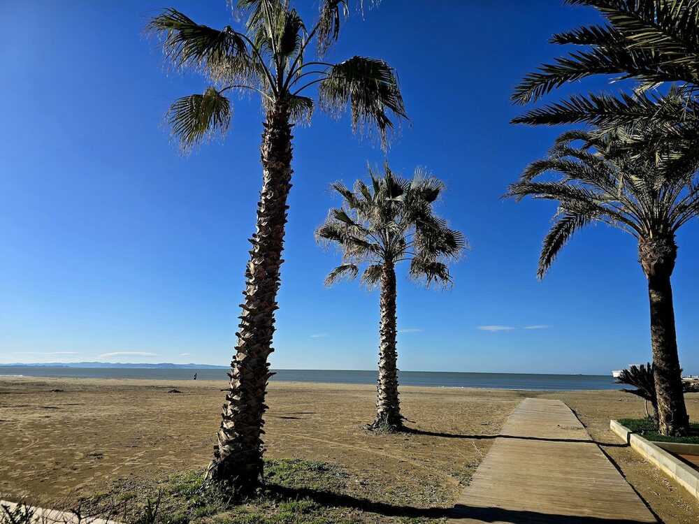 Palm-lined promenade along Durrës Beach