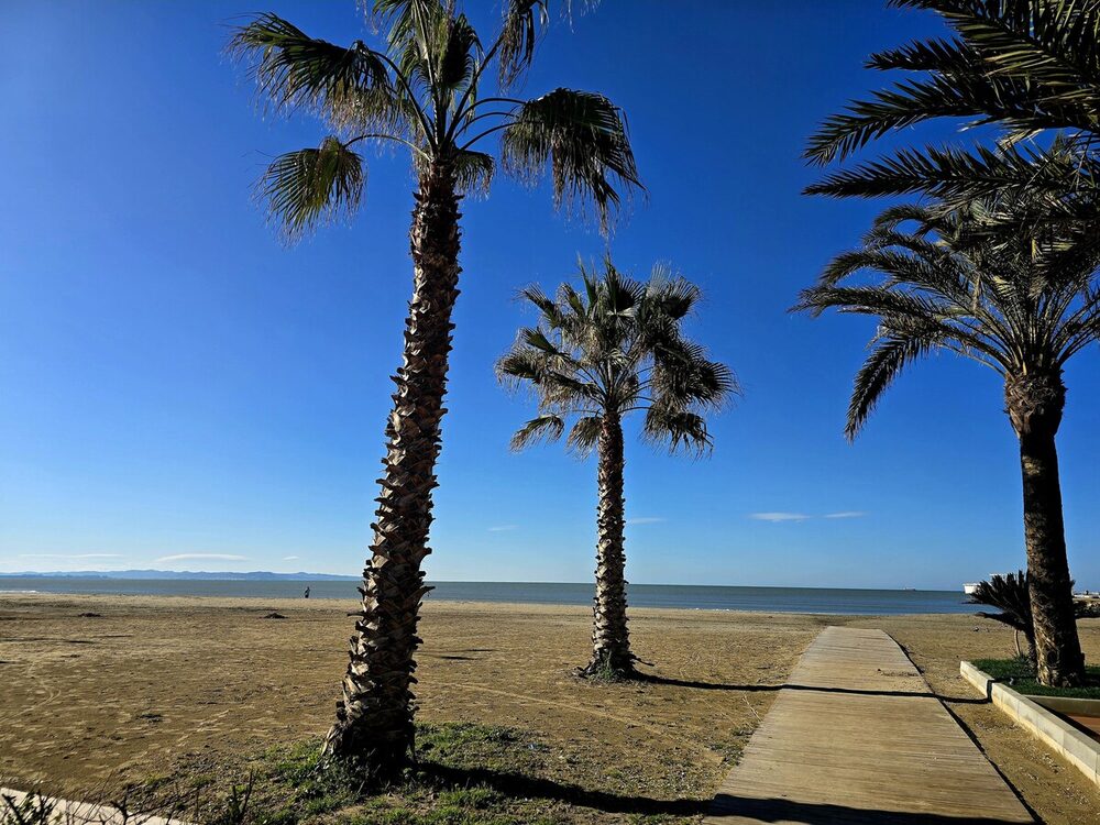 Palm-lined promenade along Durrës Beach