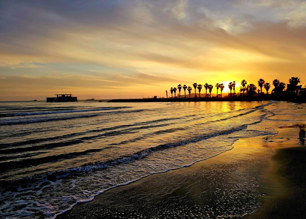 Sunset over Durrës Beach with palm trees silhouetted against the sky