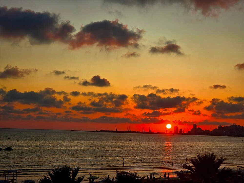 Sunset over Durrës Beach with palm trees silhouetted against the sky